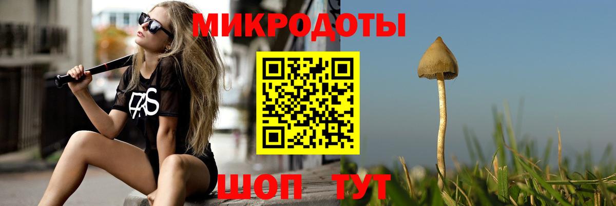Дербент  Галлюциногенные грибы Psilocybine cubensis  Вход с VPN  Галлюциногенные грибы ЛСД 