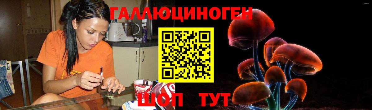 Псилоцибиновые грибы мухоморы Дербент
